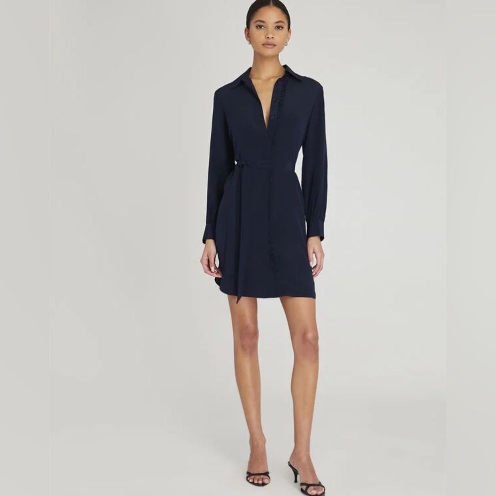 COPY - Club Monaco Silk Ruffle Button Front Dress